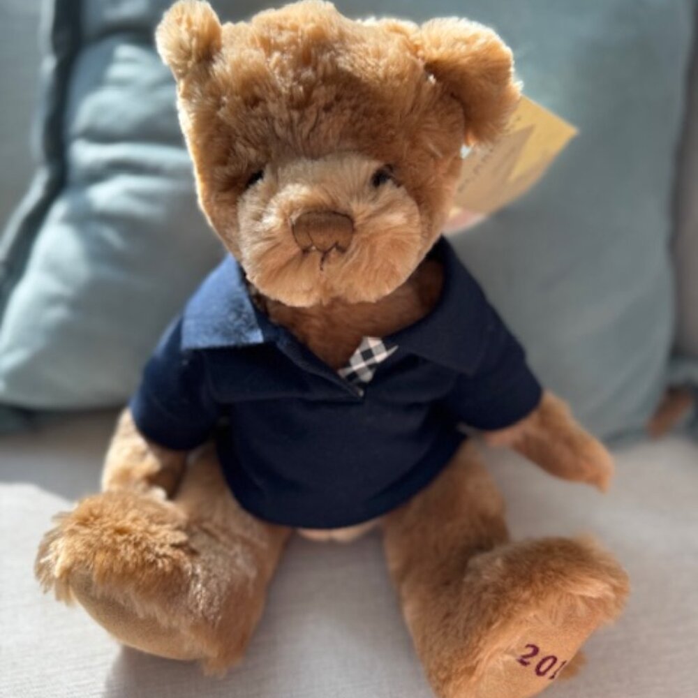 NWT - 2 BURBERRY - Polo Bear - Teddy / Plush - 2007 & 2010